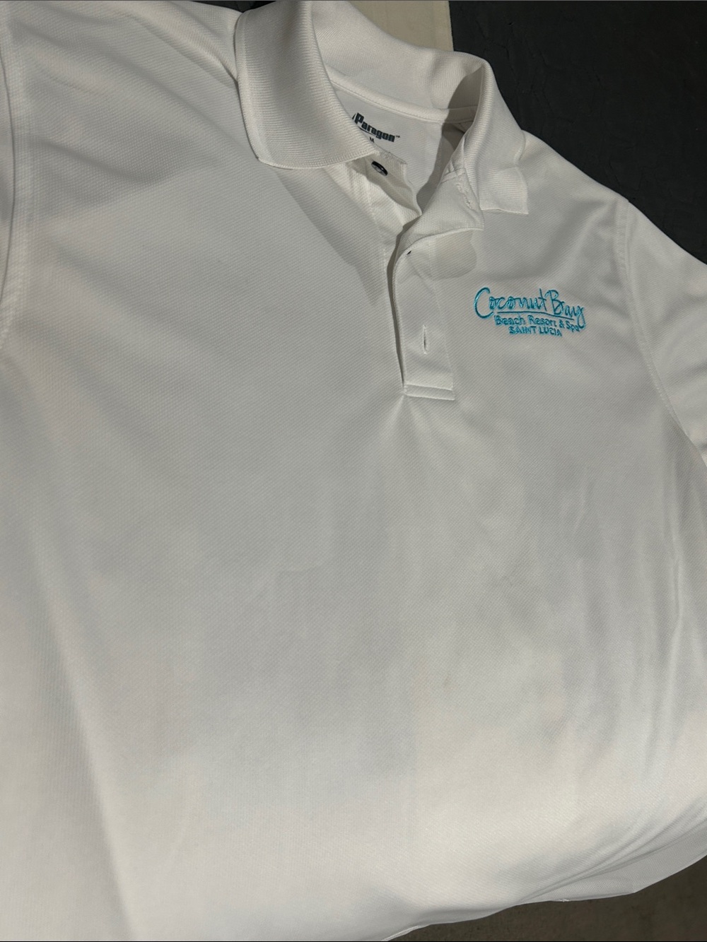 PARAGON White Polo Shirt with Teal Embroidery